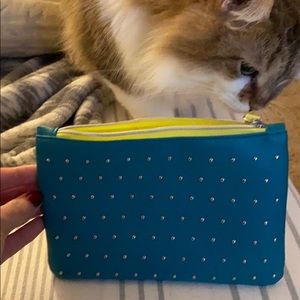 Ipsy bag